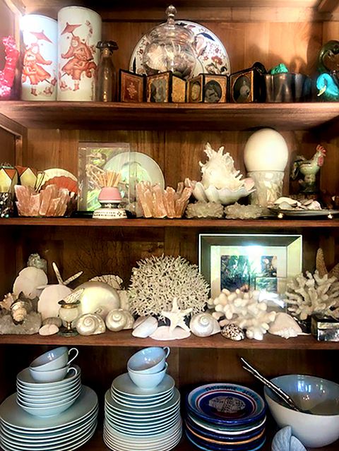 bookshelf with shells