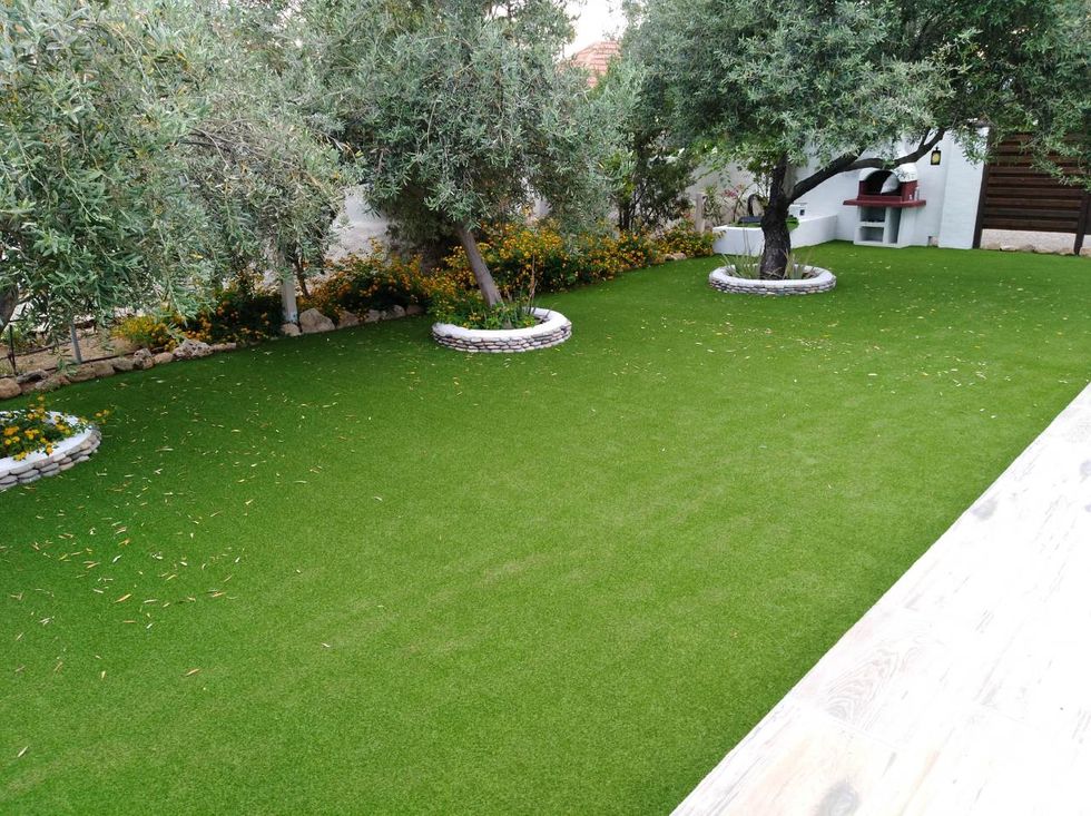 Lawn, Grass, Artificial turf, Yard, Garden, Backyard, Plant, Flooring, Grass family, Shrub, 