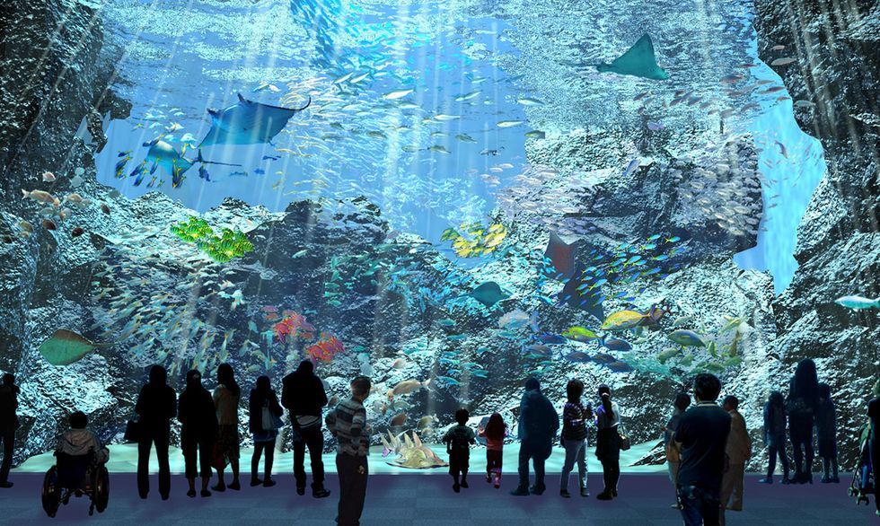 北台灣最大絕美水族館下半年開幕！桃園「x park」5大亮點整理～高科技體驗、4000坪空間、夜宿水族館