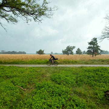 bikepacking fietser op de veluwe