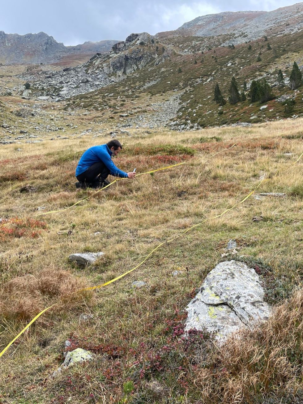 In de vallei van de rivier de Rialb een populaire bergwandelbestemming meet hoofdonderzoeker Bernat ClaramuntLpez zaailingen op om de groei van zwarte en grove dennen op verschillende hoogten in de vallei te kunnen beoordelen