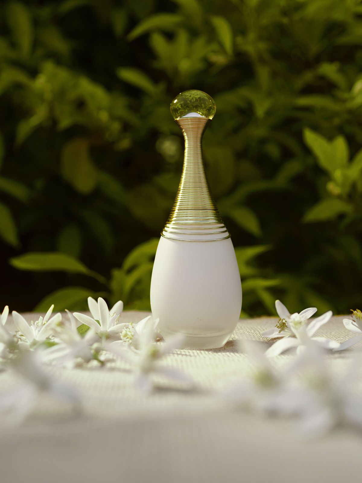 Nước Hoa Nữ Dior Jadore Parfum D’eau