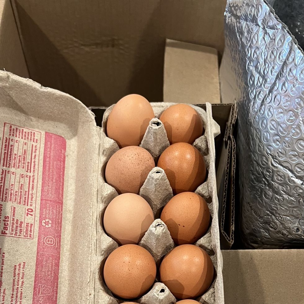 a carton of eggs