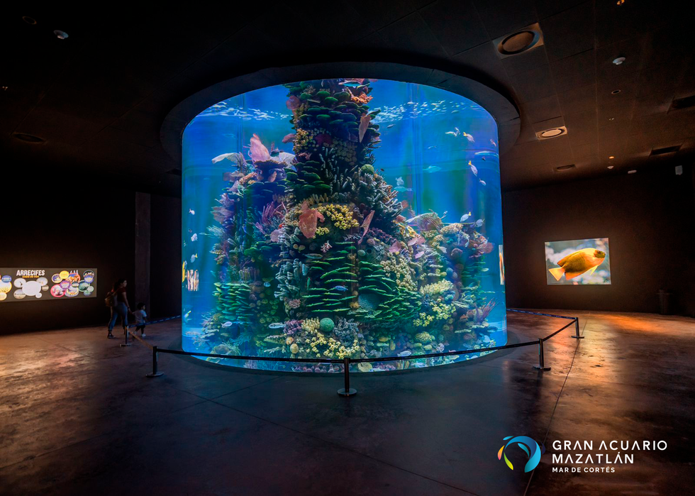 a large aquarium in a room