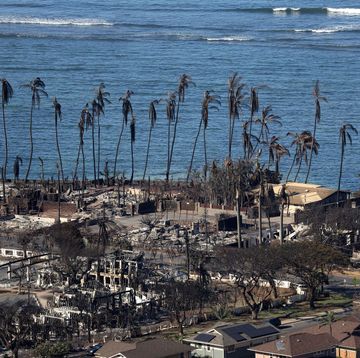 dozens killed in maui wildfire leaving the town of lahaina devastated