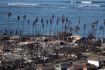 dozens killed in maui wildfire leaving the town of lahaina devastated