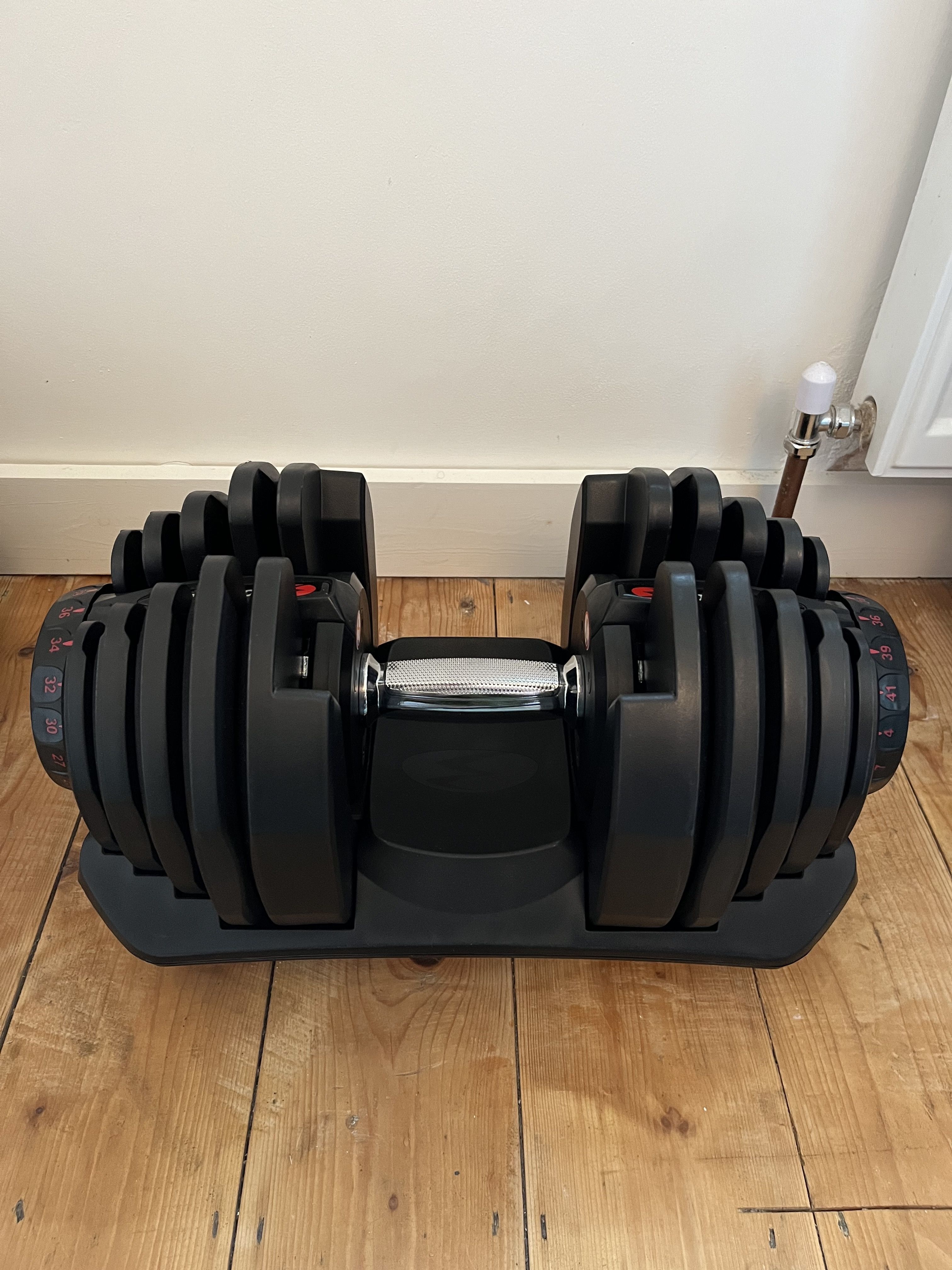 Adjustable dumbbells 40kg bowflex sale