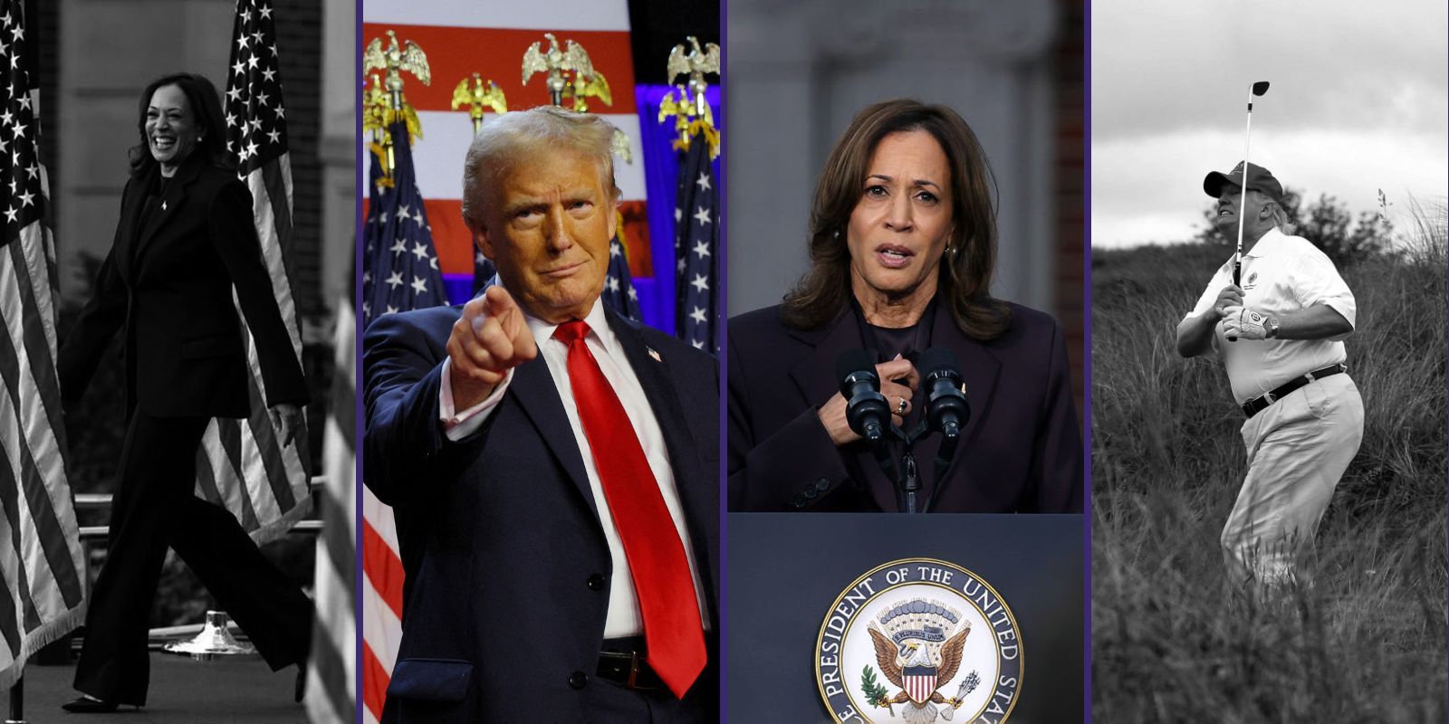 in-depth-comparison-of-donald-