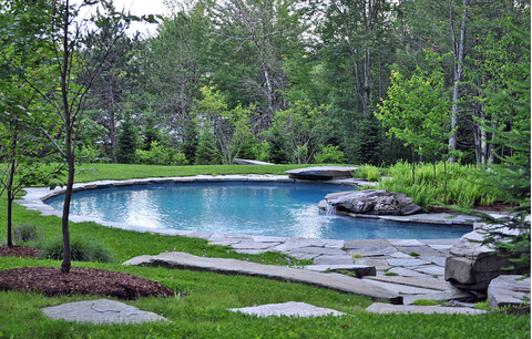 swimming pool in organic setting