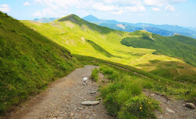 in the corno alle scale regional park