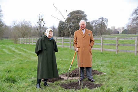 the queen's green canopy official photographs