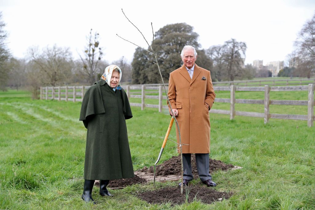 エリザベス女王の即位70周年を祝う植樹プロジェクト、100万本を達成
