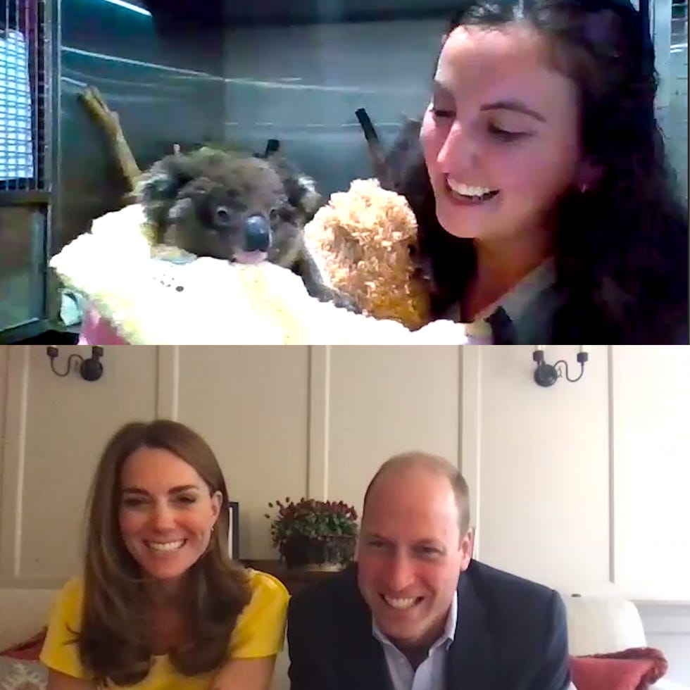 the duke and duchess of cambridge hear about the impact of australian wildfires