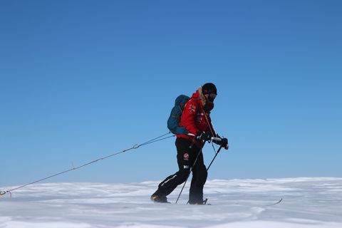 Prince Harry Alliance challenge to walk with injured Antarctica