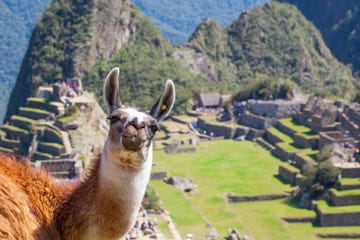 inca trail peru machu picchu is het inca trail lopen zwaar