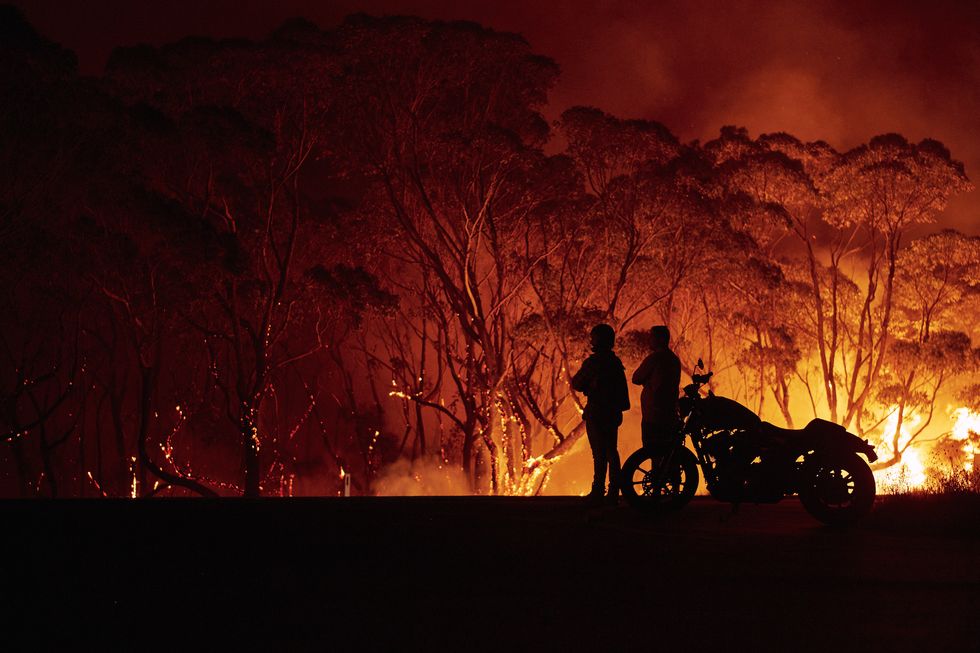 Evacuation Notices Issued Across NSW As Firefighters Prepare For Dangerous Bushfire Conditions