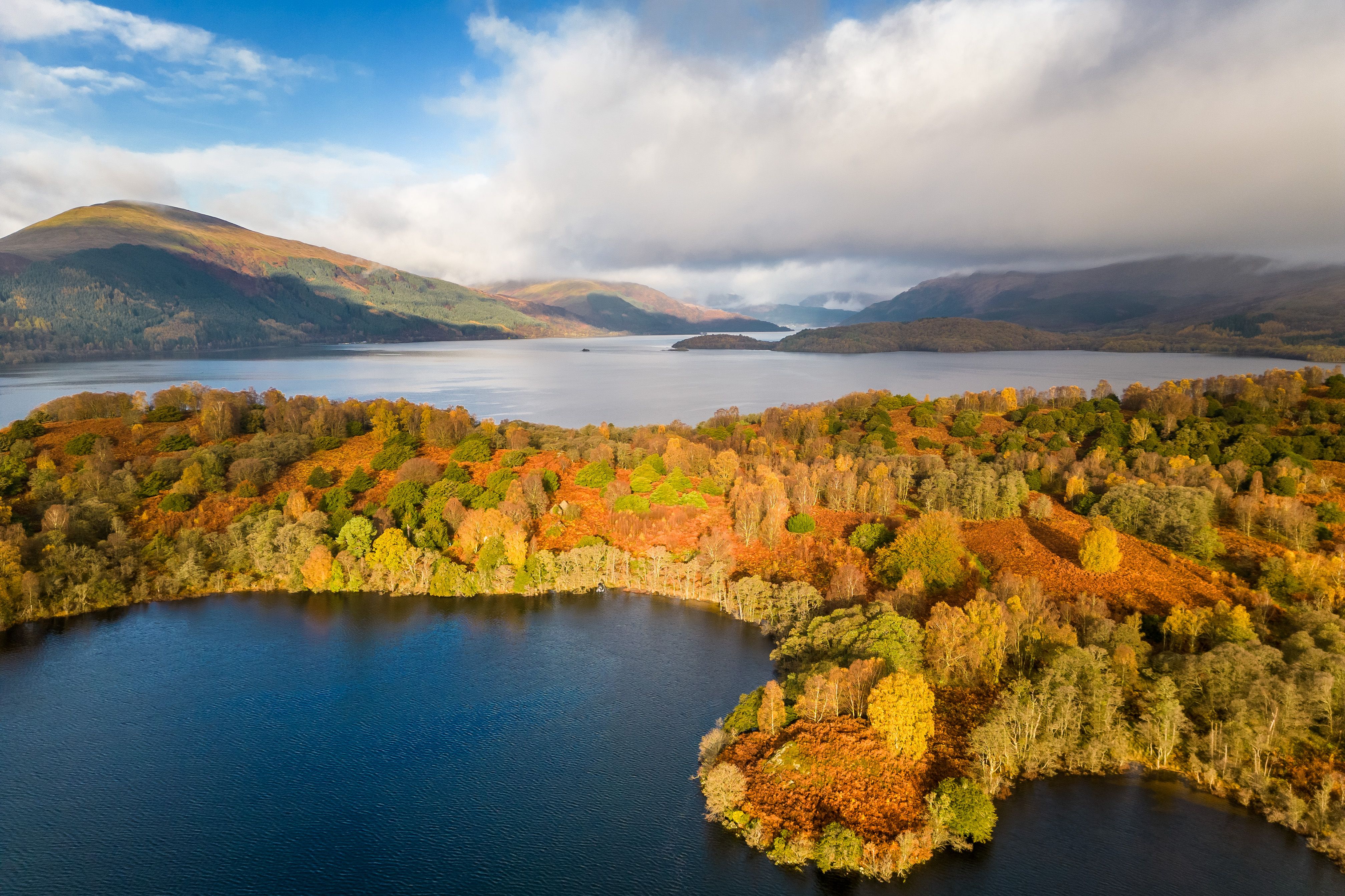 Private Loch Lomond Island With Ancient Woodland For Sale