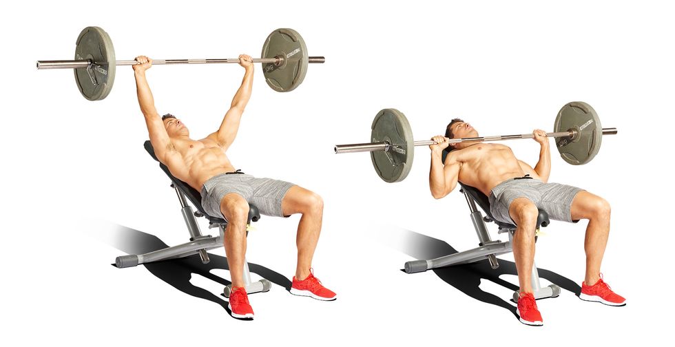 What Muscle Does Bench Press Work?: Diagram, Guide and Exercise