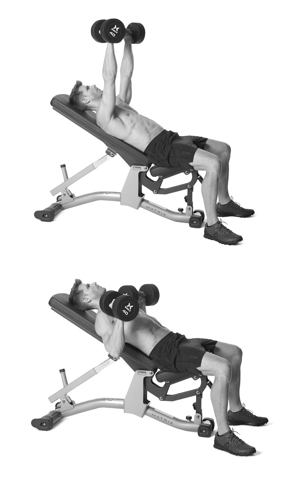 Matrix Bench Workout Chart EOUA Blog
