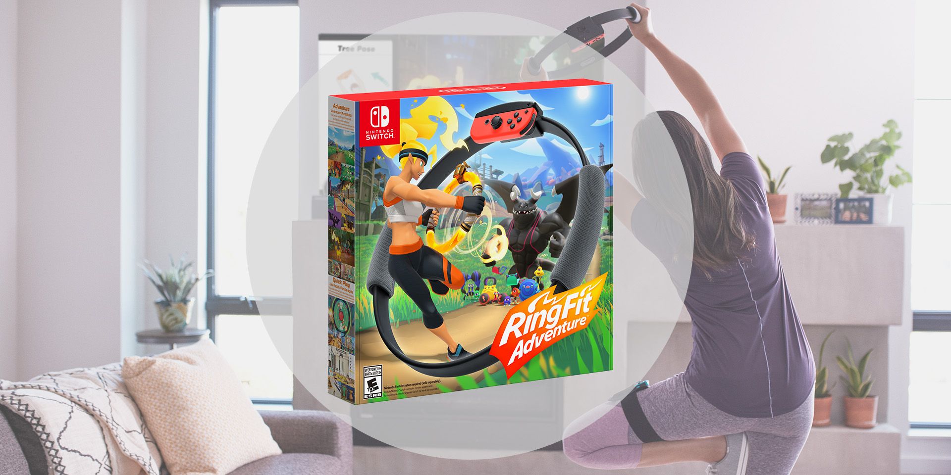 Fit ring 2024 nintendo switch