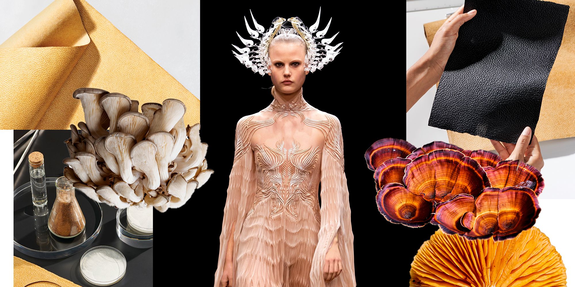 Fungi fashion: Can mushroom leather shape a sustainable future