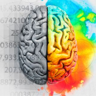 neuroscience brain myths