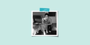Dog, Dog breed, Carnivore, Photography, Companion dog, Canidae, Sporting Group, Fur, Working animal, Non-Sporting Group, 