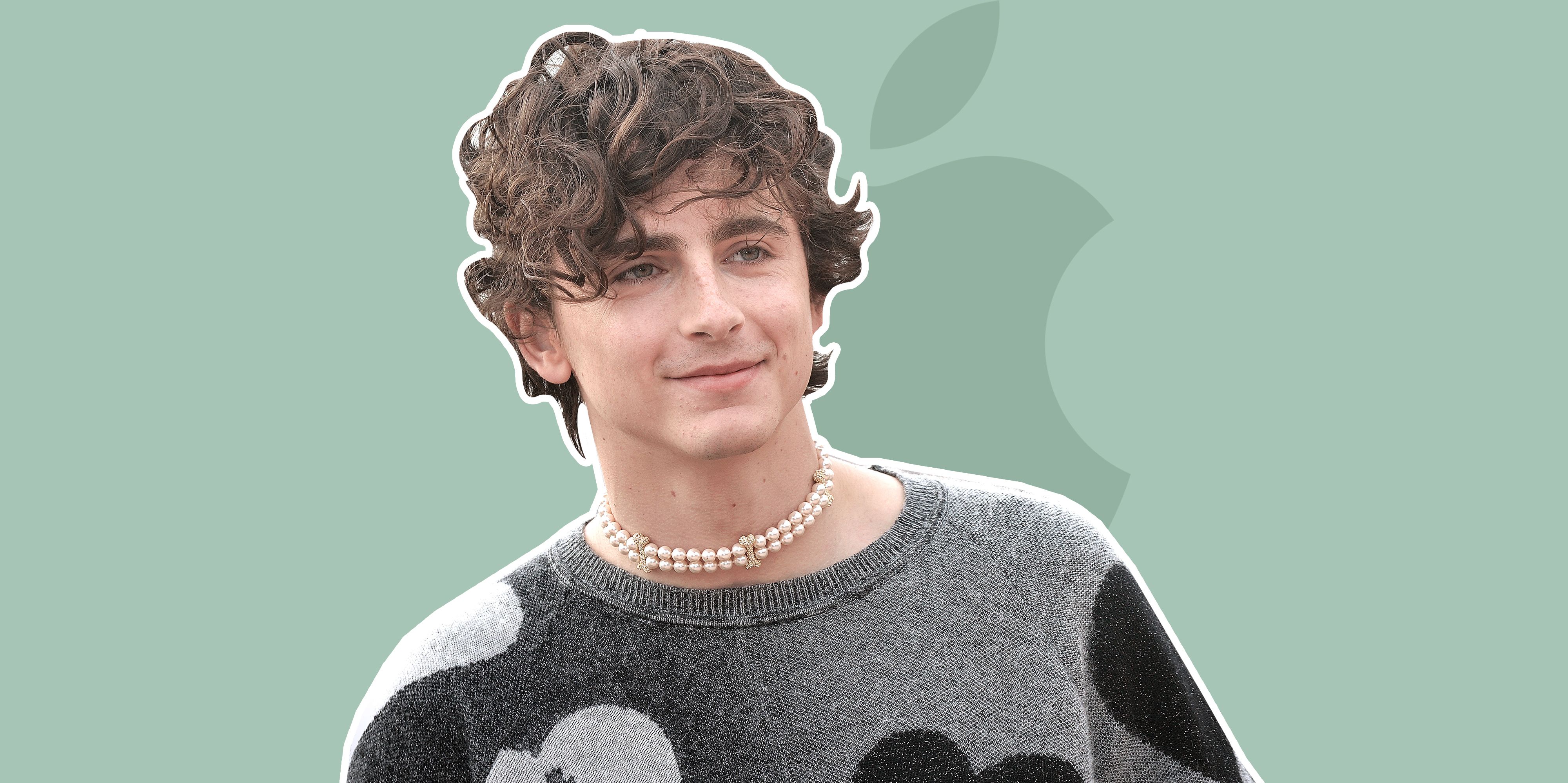 Timothée Chalamet Has Arrived Right on Time