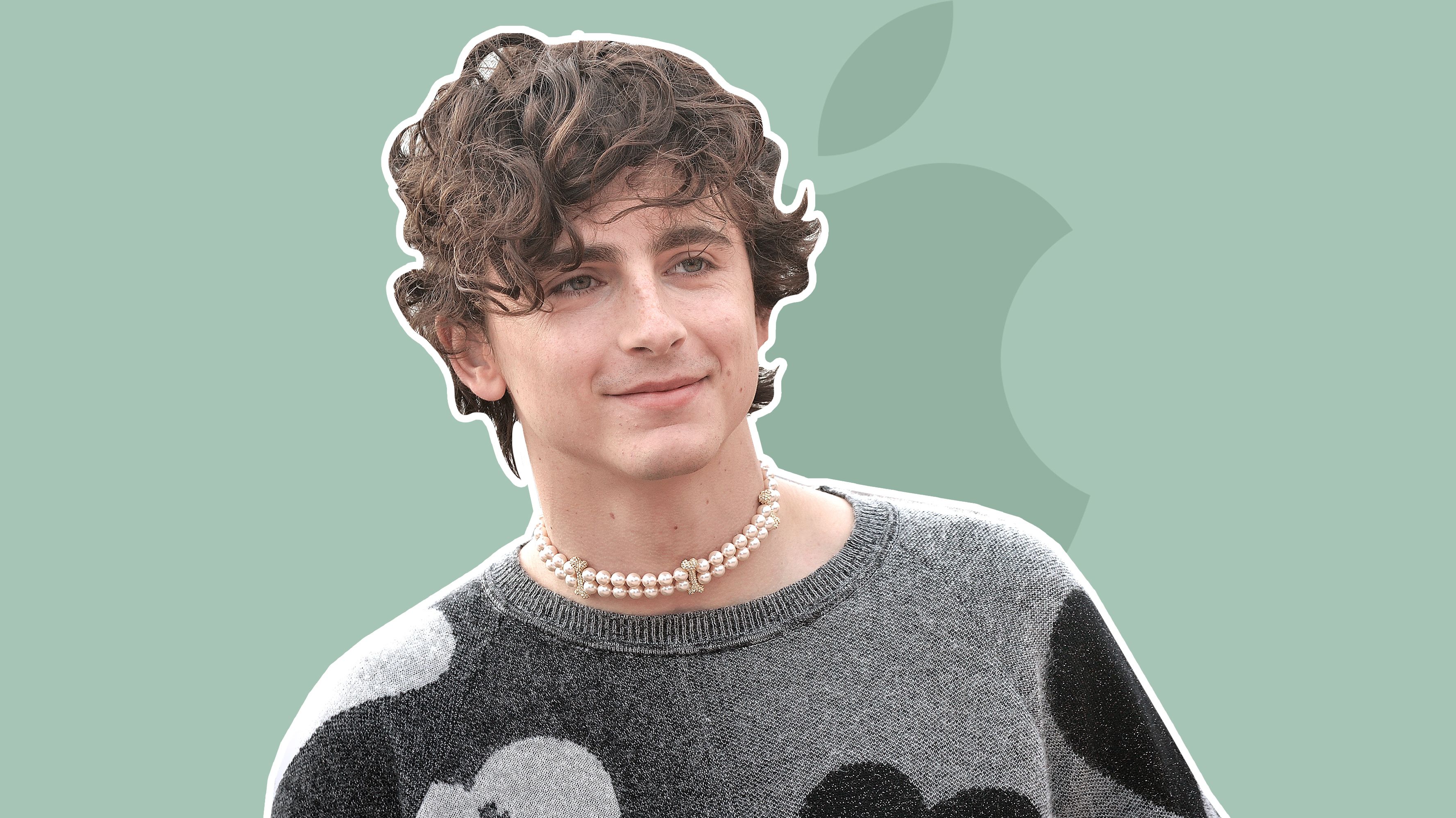 Which Apple TV+ Series Will Timothée Chalamet Join?