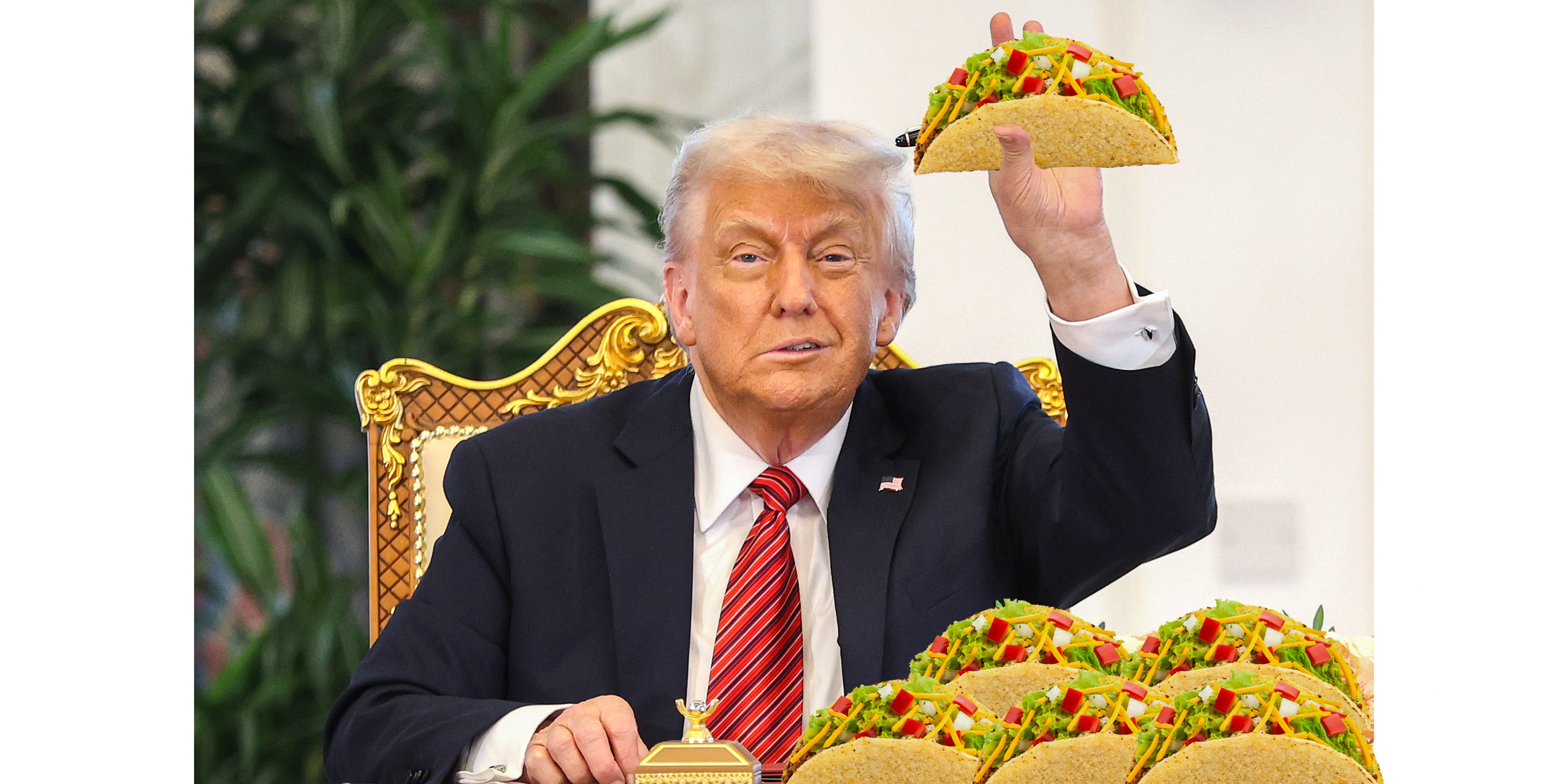 We Finally Found the Right Nickname for Trump! Now Every Day Is TACO Tuesday.