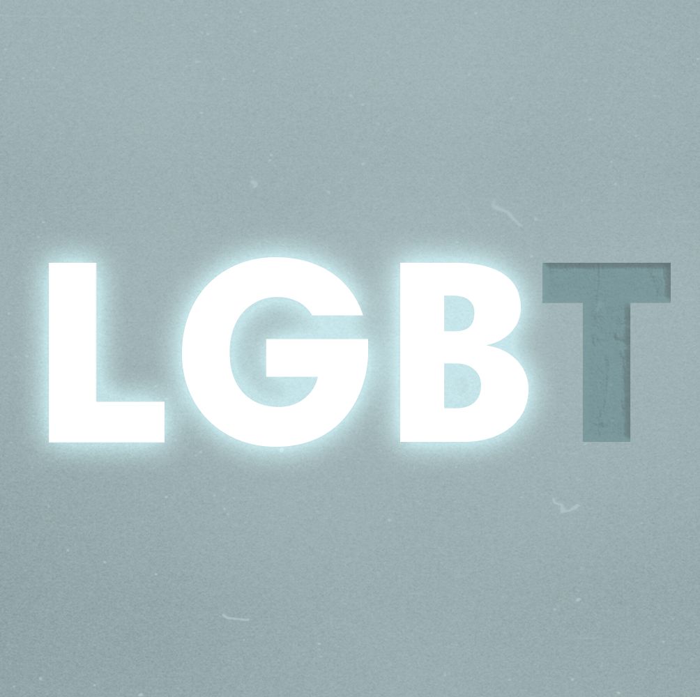 An LGBT discord server! We have many trans users (more info in the
