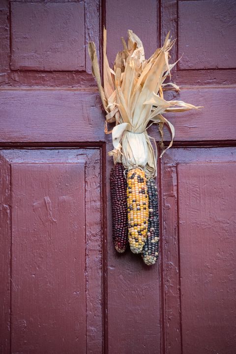 ifall door decor dried corn