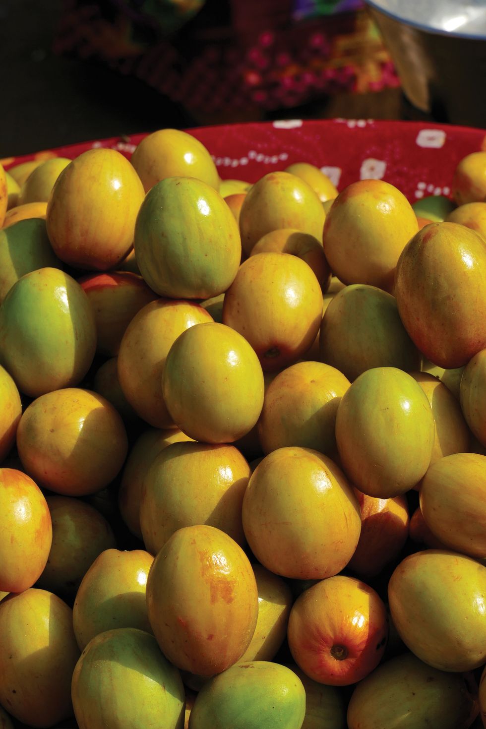 棗子熱量低、維生素c是蘋果的20倍！營養師親授挑選方法，選台灣土棗營養價值最高