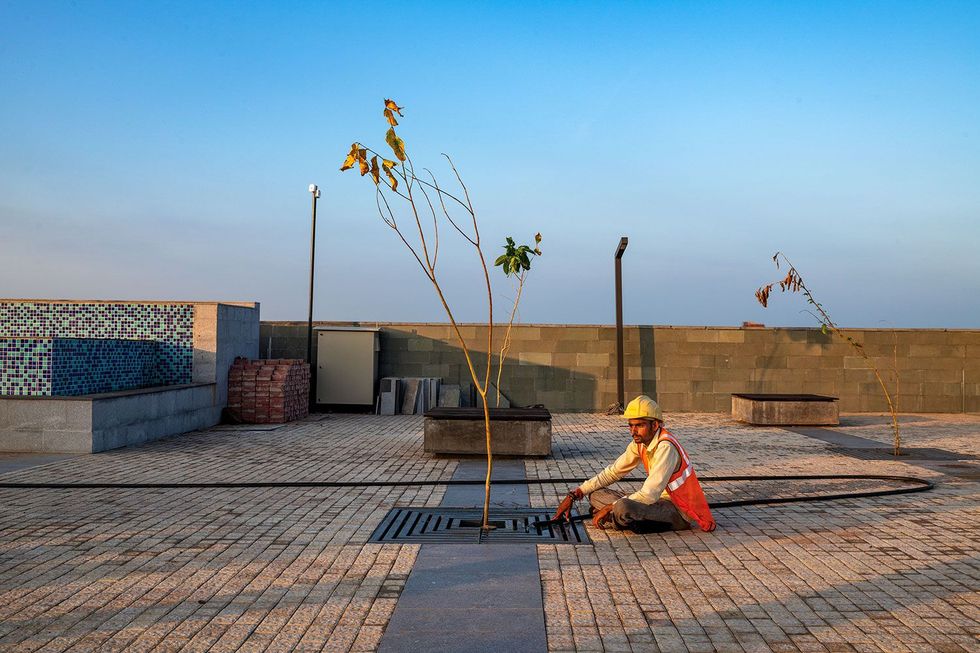 Een gemeenteambte naar begiet een pas geplant boompje in Dholera Smart City een nieuwbouwproject in de deelstaat Gujarat De voorgenomen aanleg van een zonnepark zou schadelijk kunnen zijn voor de moerassen waar trekvogels neerstrijken
