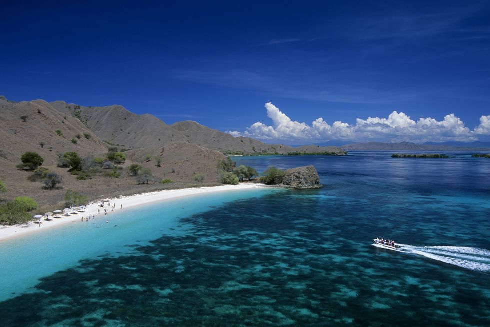 indonesia, komodo island, view of pink beach, tourists