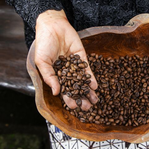 Indonesia, Local Woman Holding Freshly Arabica Coffe Beans Roasted