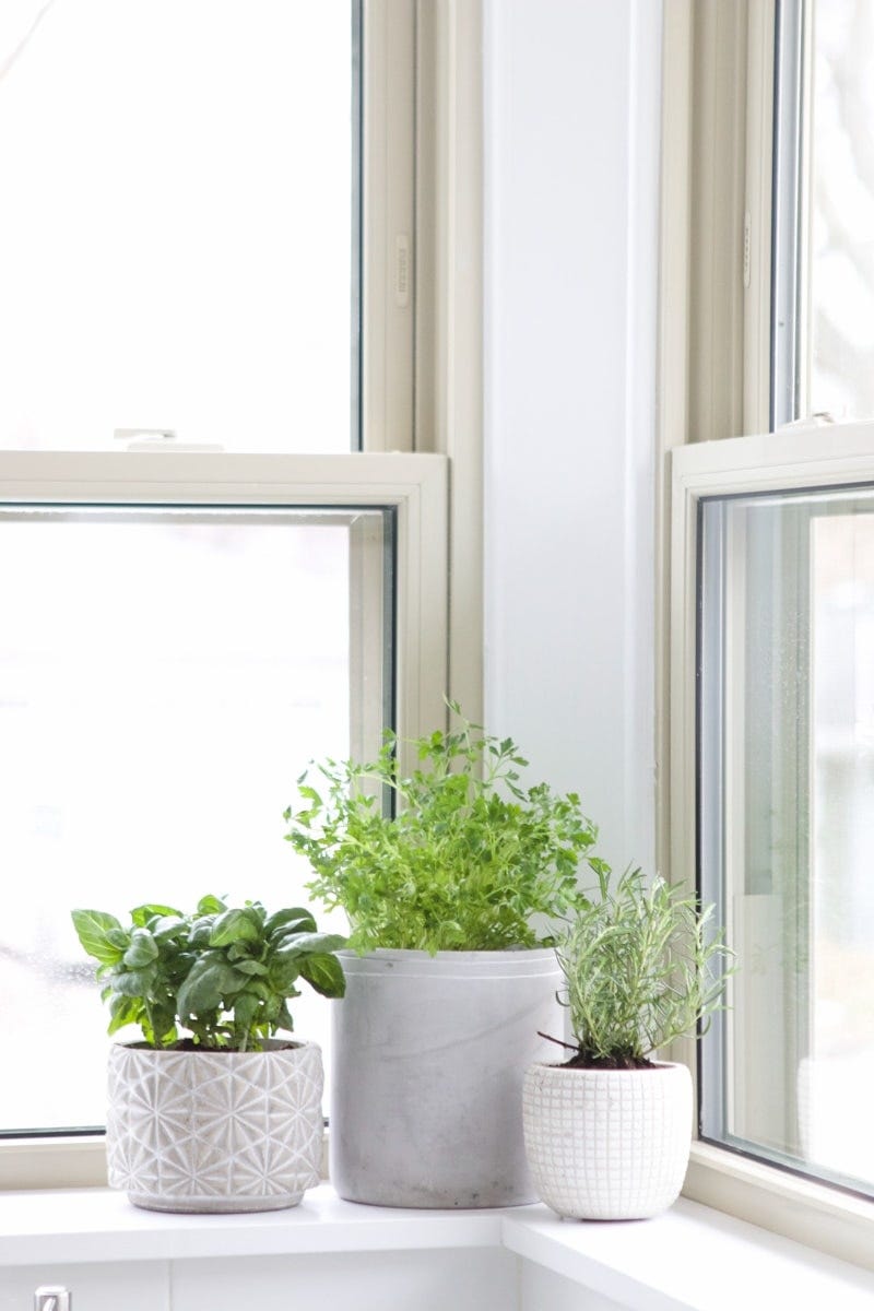 herb garden window