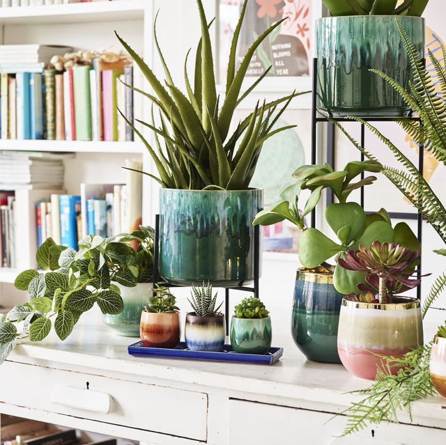 Best Indoor Pots and Planters