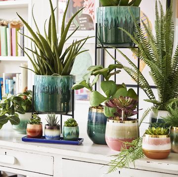 indoor plant pots