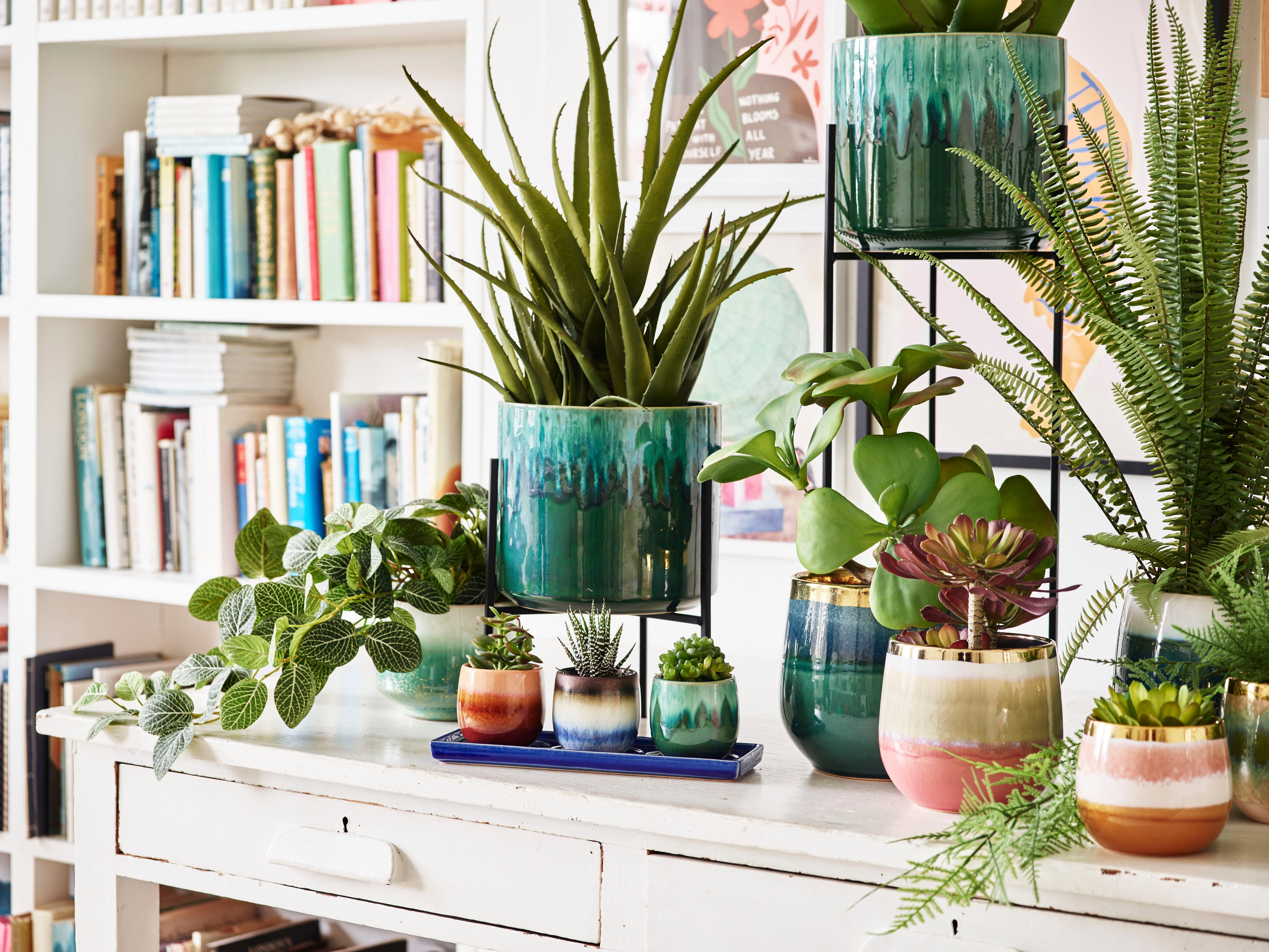 Indoor Flower Pots