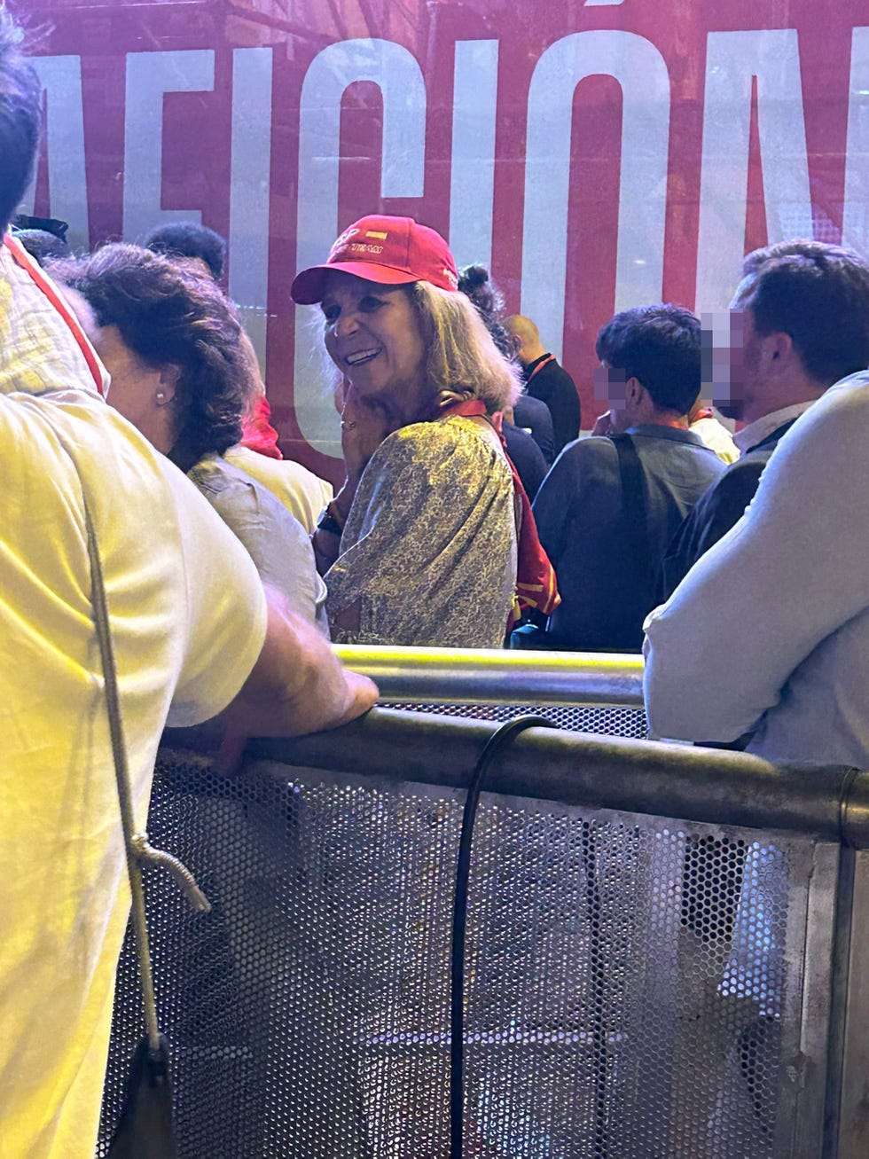 la infanta elena se deja ver en la celebracion de la eurocopa en madrid