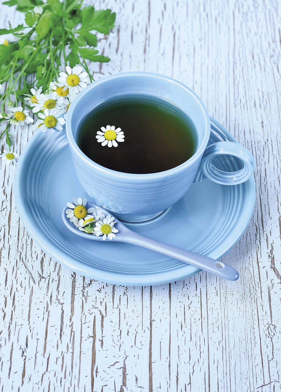 Alimentos para dormir: Infusión de manzanilla