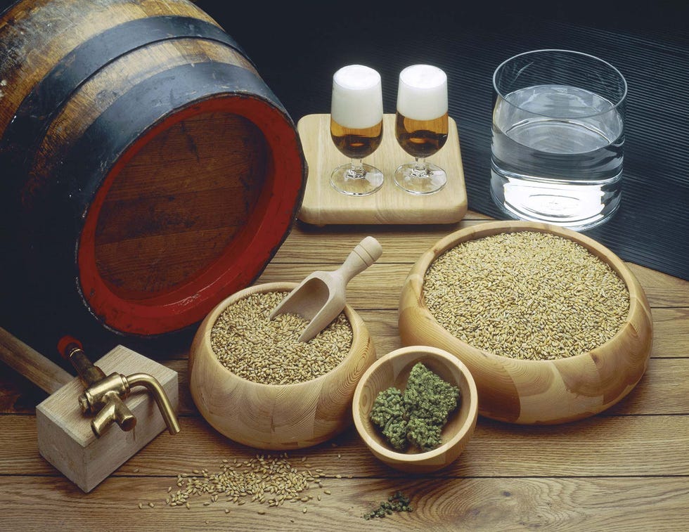 Ingredientes de la cerveza