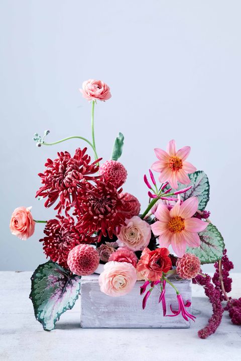 ingrid carozzi chrysanthemum pink arrangement