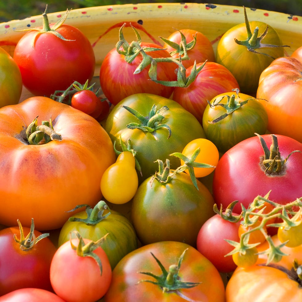 heirloom tomatoes