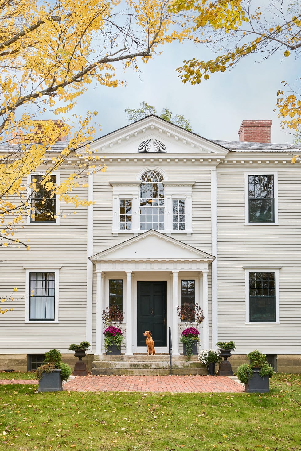 white clapboard bed and breakfast with dog sitting on porch