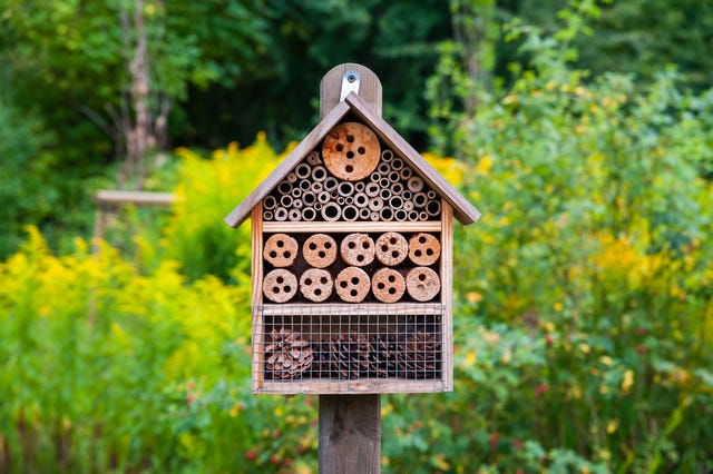 How to make a bug hotel with kids – a step-by-step guide