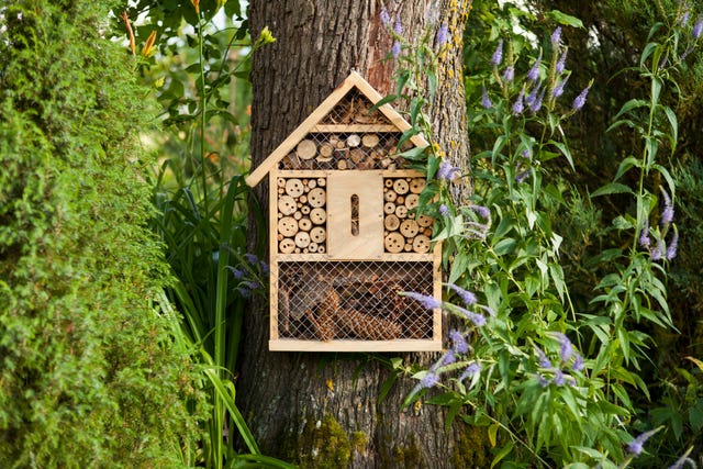 Bug Hotel - How To Make A Bug Hotel In 5 Easy Steps, Insect Hotel