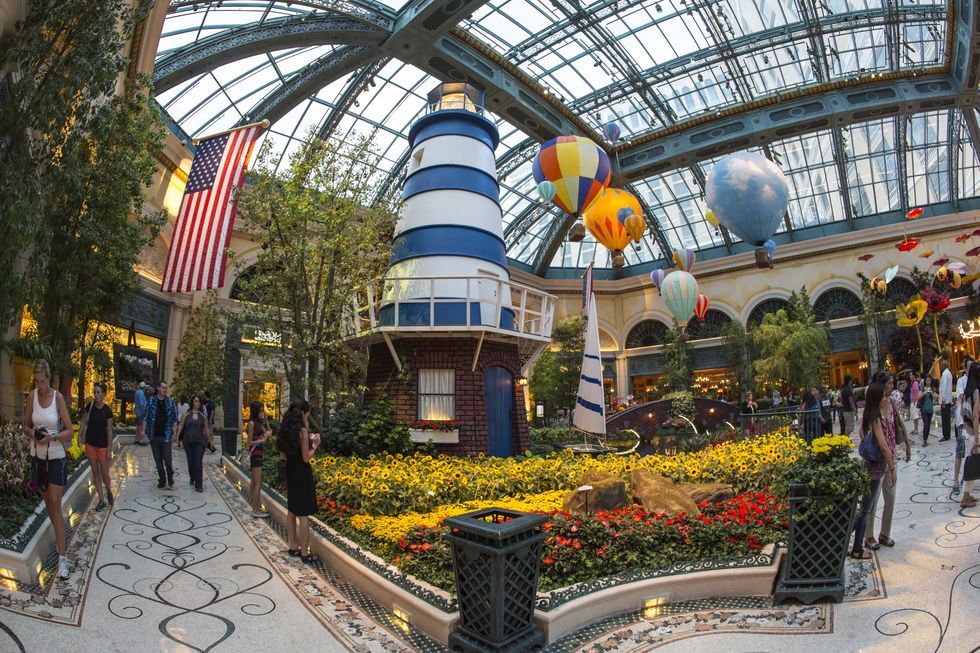 things to do in las vegas under 50 bellagio conservatory botanical gardens