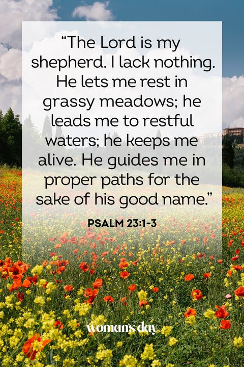 inspirational bible verses  psalm 23 1 3